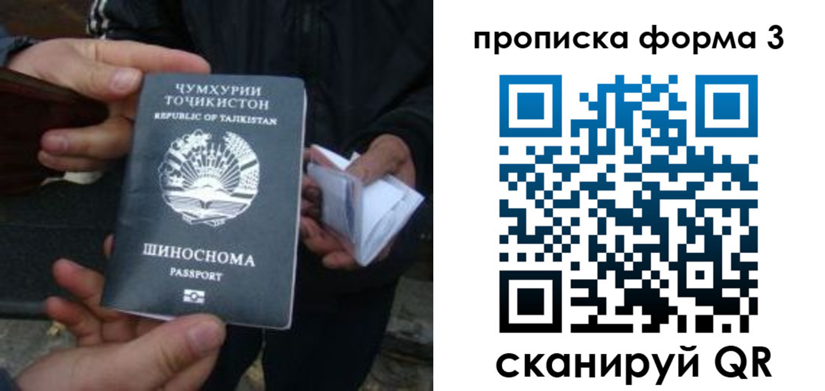 прописка 2025 в Партизанске